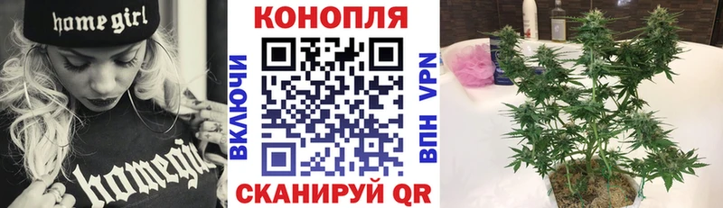 Бошки Шишки гибрид  Купить  Жердевка 